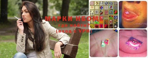 крисы Бугульма